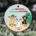 Cat Circle Ornament Personalized Name And Color On The Naughty List And Regret Nothing - PERSONAL84