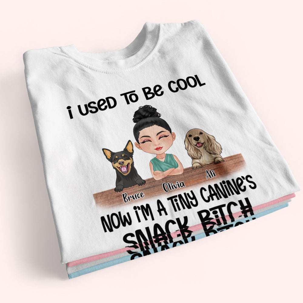 Dog Custom Shirt I Used To Be Cool Now I'm A Tiny Canine's Snack Bitch Personalized Gift