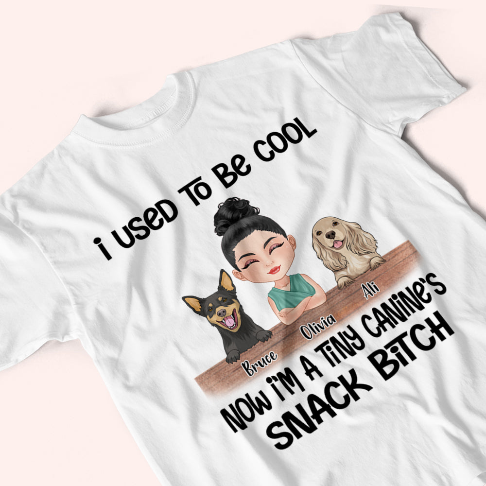 Dog Custom Shirt I Used To Be Cool Now I'm A Tiny Canine's Snack Bitch Personalized Gift