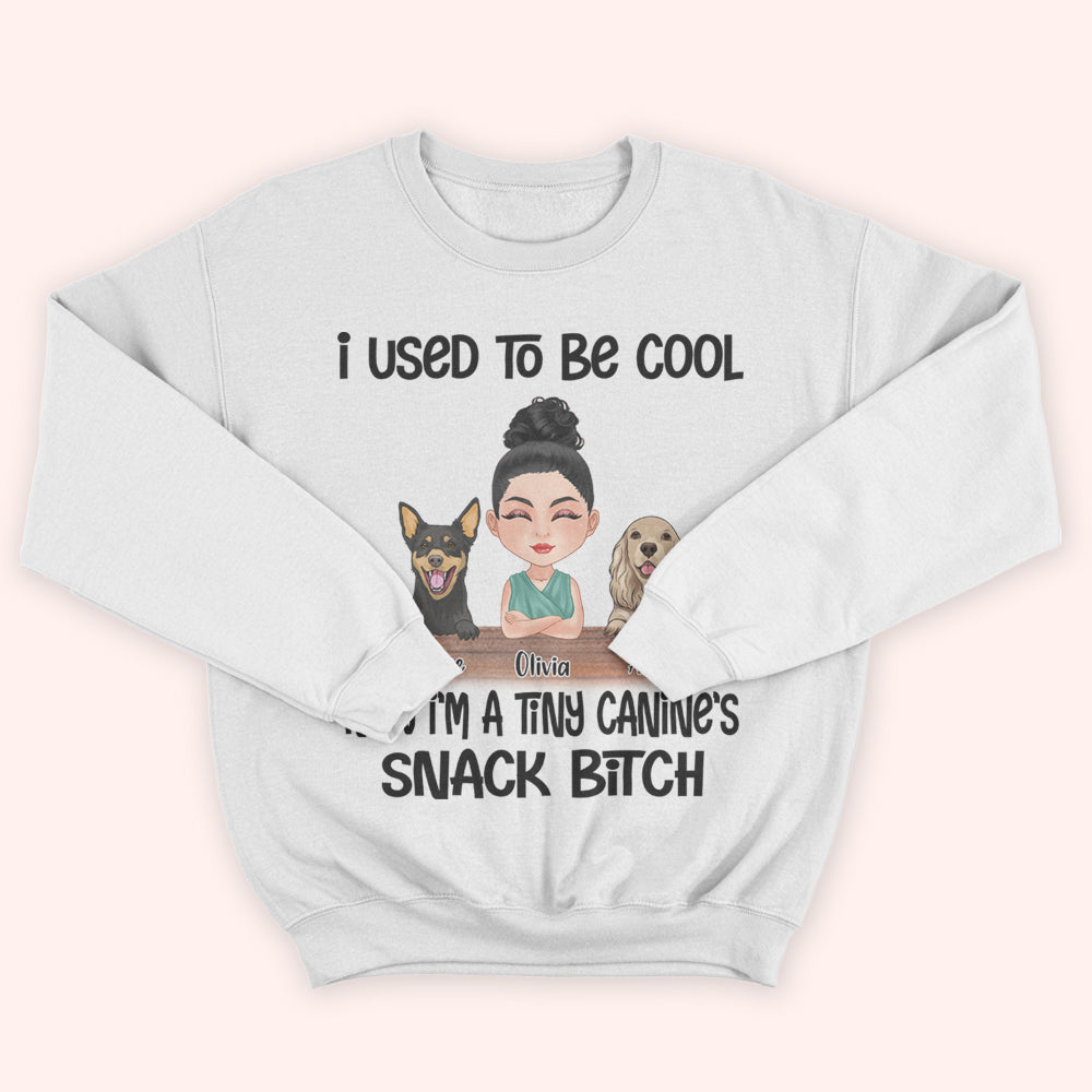 Dog Custom Shirt I Used To Be Cool Now I'm A Tiny Canine's Snack Bitch Personalized Gift