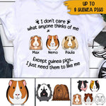 Guinea Pig Custom T Shirt I Just Need Guinea Pigs To Like Me Personalized Gift - PERSONAL84