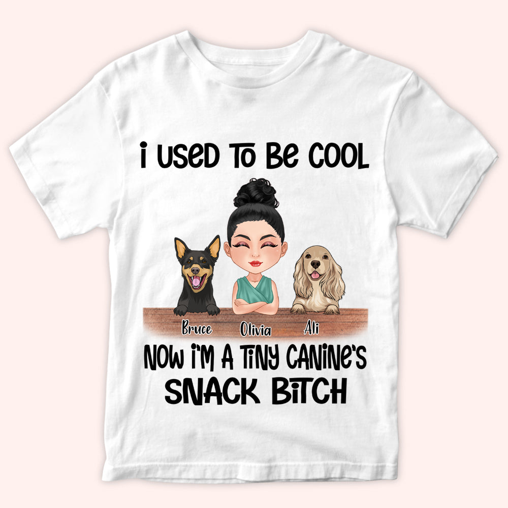 Dog Custom Shirt I Used To Be Cool Now I'm A Tiny Canine's Snack Bitch Personalized Gift