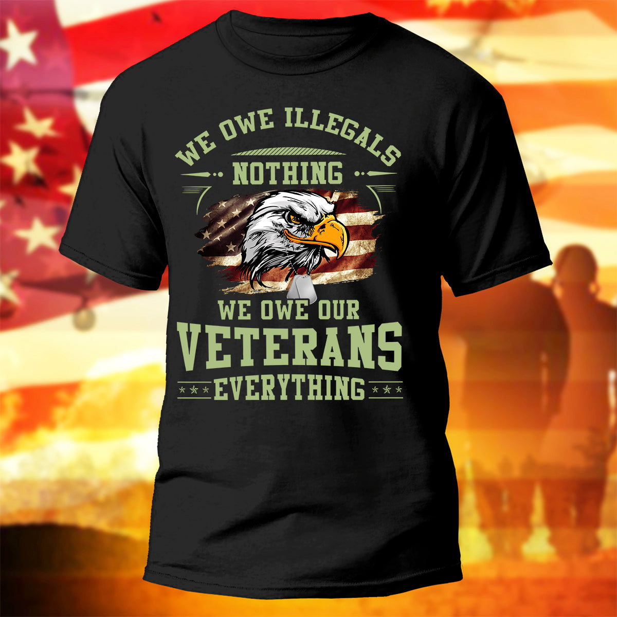 US Eagle Veteran T-Shirt We Owe Our Veterans Everything Shirt Veterans Gift