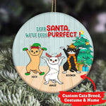 Cat Circle Ornament Personalized Name And Breed We've Been Purrfect - PERSONAL84