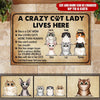 Cat Custom Doormat Crazy Cat Lady Lives Here Personalized Gift - PERSONAL84