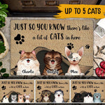 Cat Custom Doormat Just So You Know There's Like A Lot Of Cats In Here Personalized Doormat For Cat Lovers - PERSONAL84