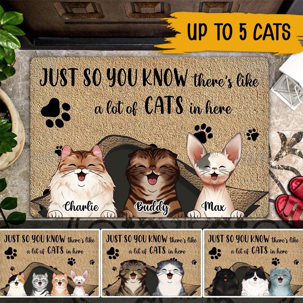 Cat Custom Doormat Just So You Know There's Like A Lot Of Cats In Here Personalized Doormat For Cat Lovers - PERSONAL84