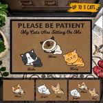 Cat Custom Doormat Please Be Patient My Cats Are Sitting On Me - PERSONAL84