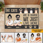 Cat Custom Doormat The Cats Are In Charge We Just Live Here Personalized Gift - PERSONAL84