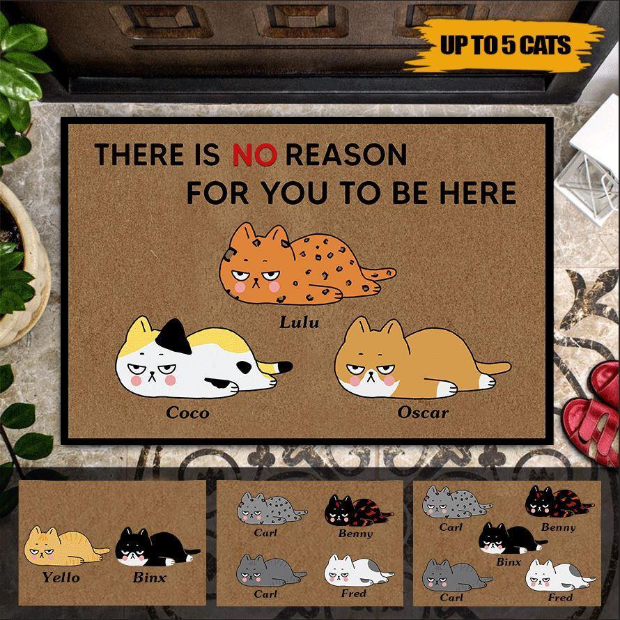 Cat Doormat Customized Name And Breed There Is No Reason For You To Be Here - PERSONAL84