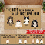 Cat Doormat Customized Names and Breeds The Cats Are In Charge We Just Live Here - PERSONAL84