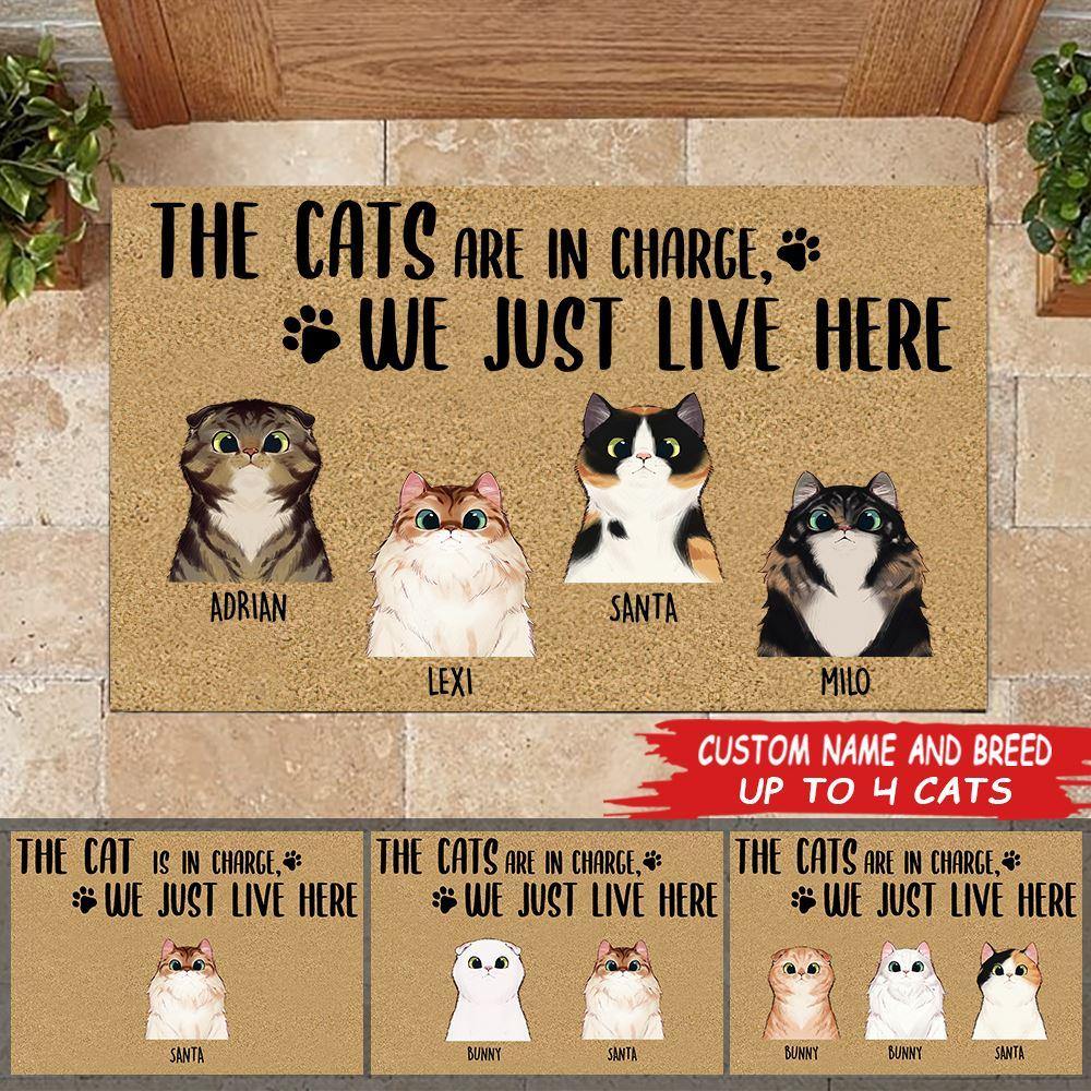 Cat Doormat Customized Names and Breeds The Cats Are In Charge We Just Live Here - PERSONAL84