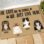 Cat Doormat Customized Names and Breeds The Cats Are In Charge We Just Live Here - PERSONAL84