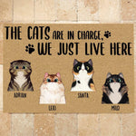 Cat Doormat Customized Names and Breeds The Cats Are In Charge We Just Live Here - PERSONAL84