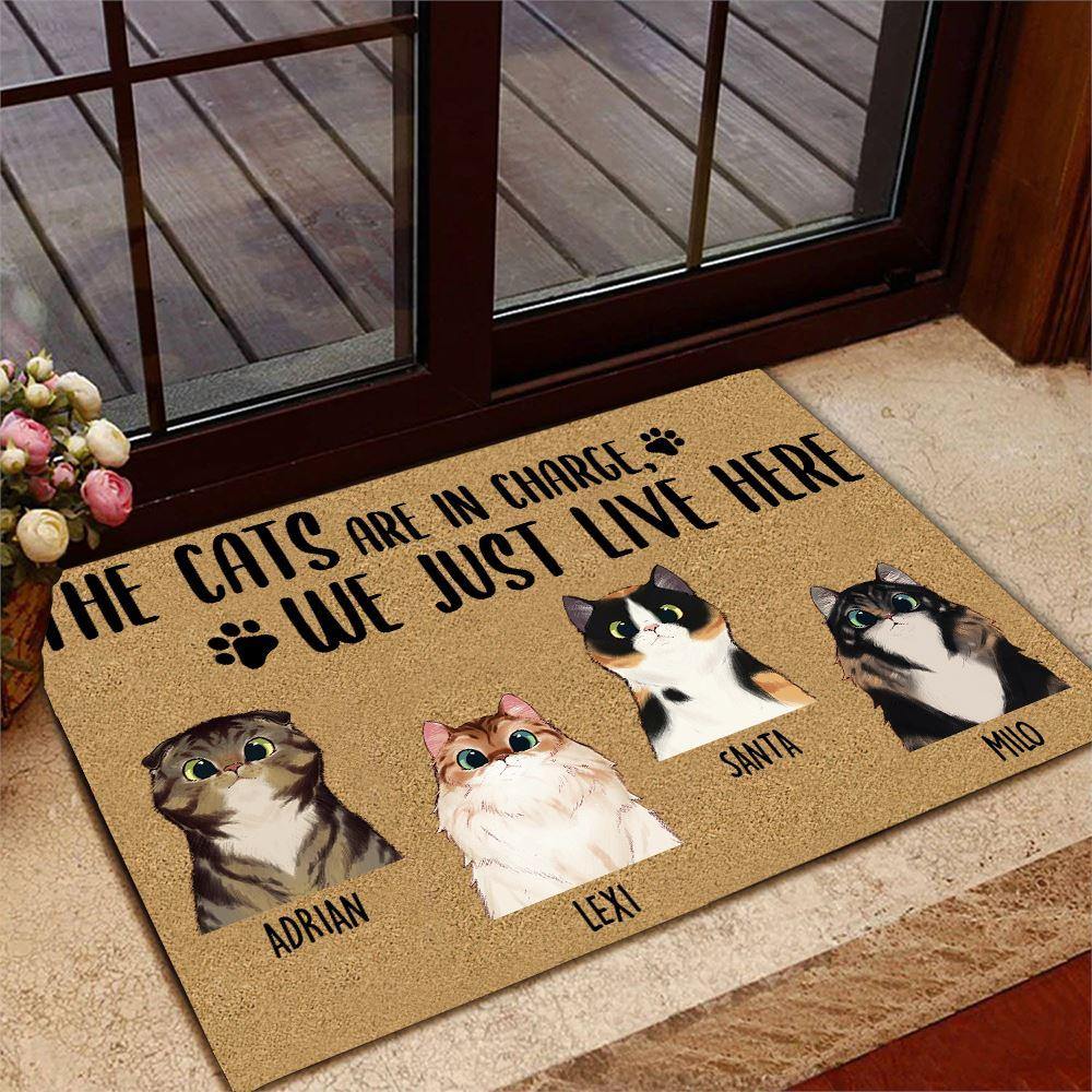 Cat Doormat Customized Names and Breeds The Cats Are In Charge We Just Live Here - PERSONAL84