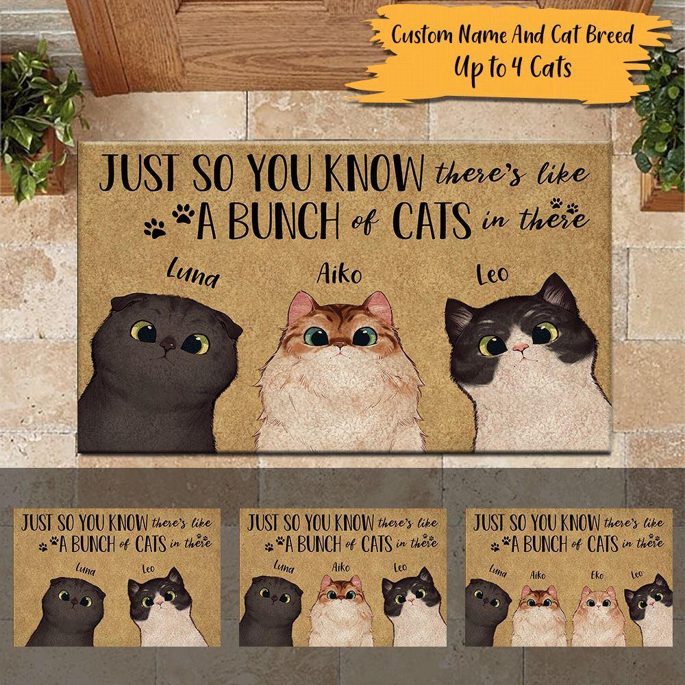 Cat Doormat Personalized Name And Breed Just So You Know A Bunch Of Cats In There - PERSONAL84