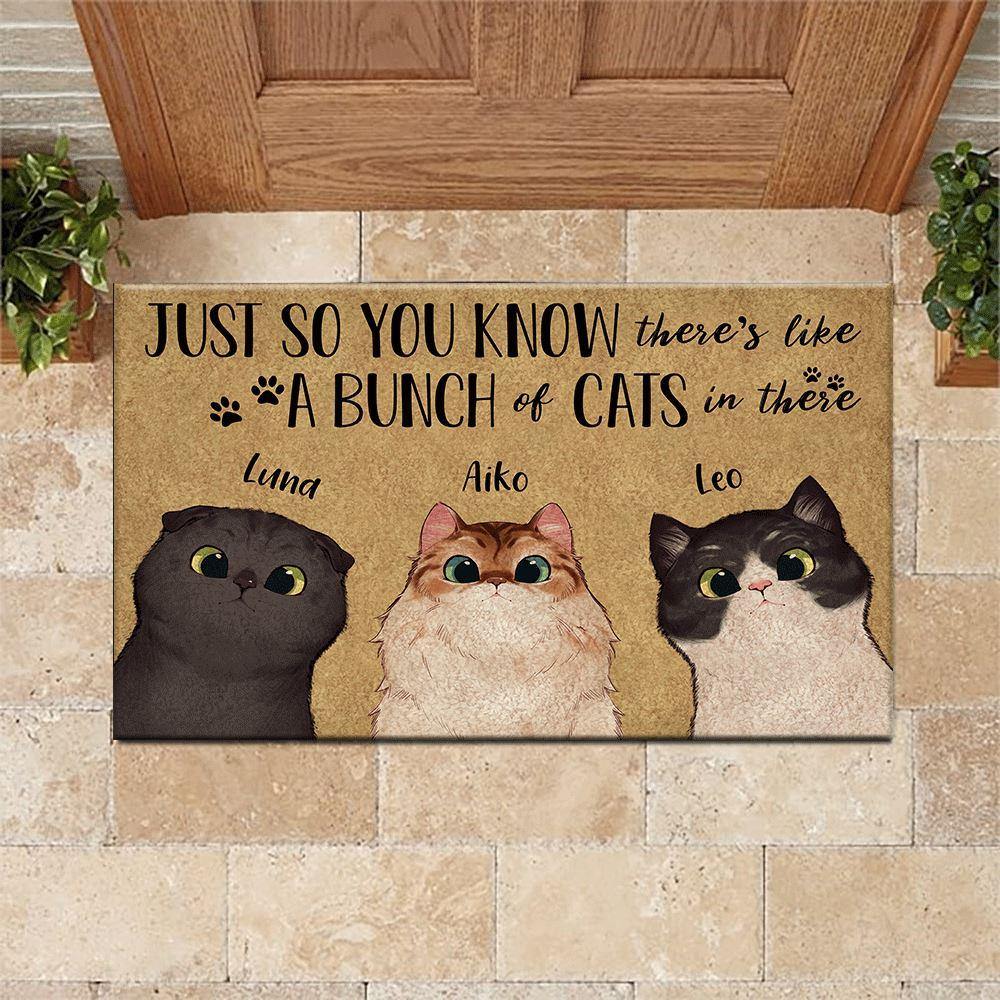 Cat Doormat Personalized Name And Breed Just So You Know A Bunch Of Cats In There - PERSONAL84