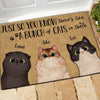 Cat Doormat Personalized Name And Breed Just So You Know A Bunch Of Cats In There - PERSONAL84