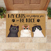 Cat Doormat Personalized Name And Breed My Cat Is Judging You So Be Nice - PERSONAL84