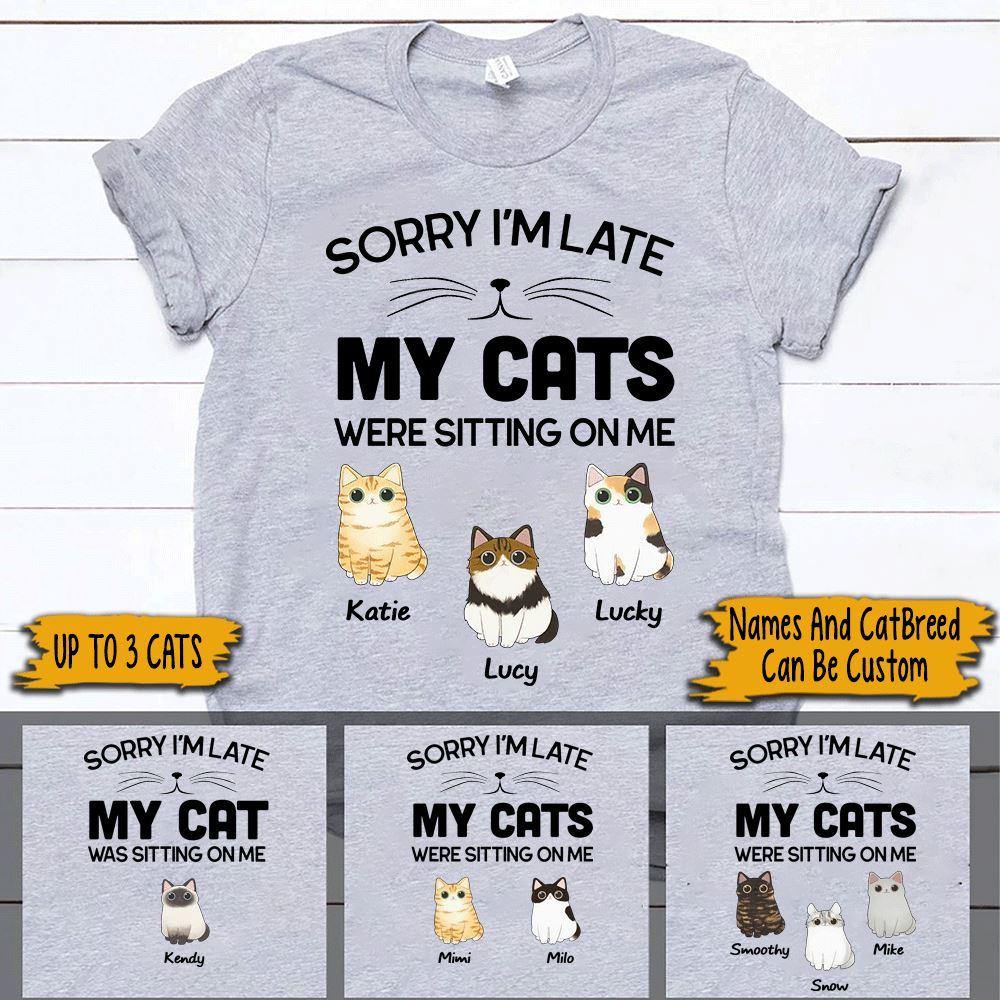 be kind to my cats shirt