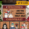 Cats Custom Doormat Are You Having A Holly Jolly Christmas Personalized Gift For Cat Lovers - PERSONAL84