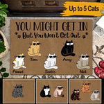 Cats Custom Doormat You Might Get In But You Won't Get Out Personalized Gift - PERSONAL84