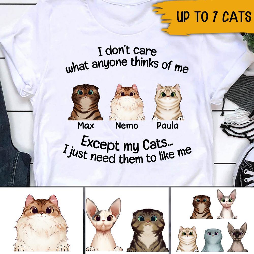 Cats Custom T Shirt I Just Need My Cats To Like Me Personalized Gift - PERSONAL84