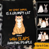 Cats Custom T Shirt My Spirit Animal Is A Grumpy Cat Who Slaps Annoying People Personalized Gift - PERSONAL84