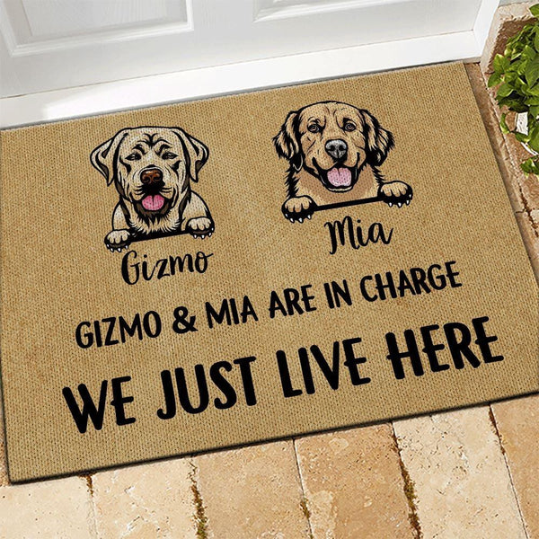 Dog Doormat Customized It Really Is The Dog House - PERSONAL84