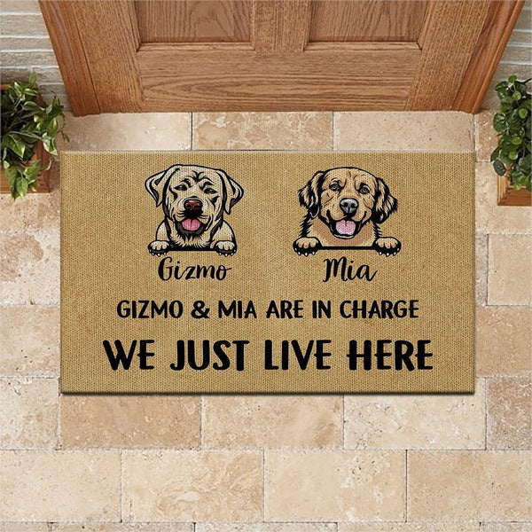 Dog Doormat Customized It Really Is The Dog House - PERSONAL84