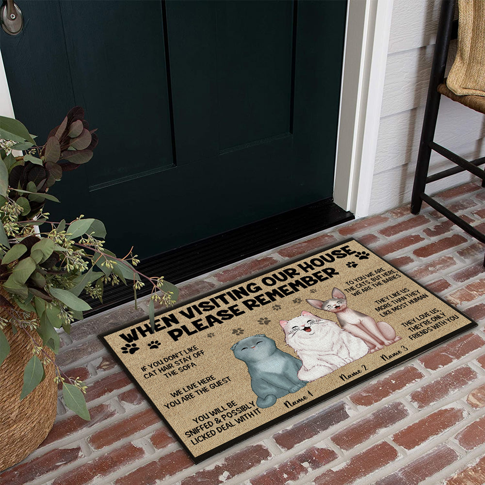 Cat Custom Doormat When Visiting My House Remember Personalized Gift Cat Lover