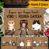 Gatos Vino Custom Spanish Doormat I Hope You Brought Wine And Catnip Personalized Gift - PERSONAL84