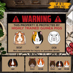 Guinea Pig Custom Doormat Warning This Property Is Protected By Highly Trained Guinea Pigs Personalized Gift - PERSONAL84