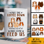 Guinea Pig Custom Mug Put The Coffee Down And Come Feed Us Personalized Gift For Guinea Pig Lovers - PERSONAL84